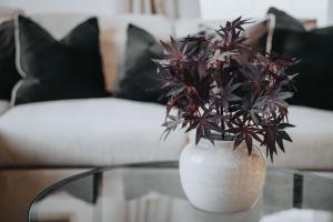 un jarrón blanco con una planta sobre una mesa de cristal en New Modern 2 Bedroom Central Apt Greater Manchester, Sleeps 5, Near Airport with Great Transport Links, en Stockport 27 fotos más