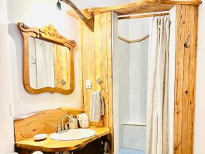 a bathroom with a sink and a shower at La vieille ferme, Écogîte in Saint-Fulgence