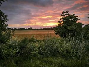 Phong cảnh thiên nhiên gần nhà nghỉ dưỡng +11 ảnh