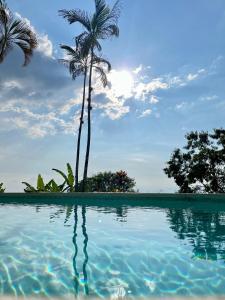 Santa Elena Ventanas Parapente Bed and Breakfast Premium في Santa Helena: جزيرة فيها نخلتين ومسبح