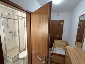 een badkamer met een douche, een toilet en een wastafel bij Gschwendtnerhof App14 Ludes-Ennen in Aschau im Chiemgau +22 foto's