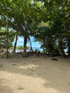 a beach with trees and the ocean in the background at Sujees surf stay, cloudbreak in Nadi +2 photos
