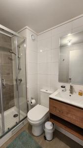 a bathroom with a toilet and a shower and a sink at Espectacular, moderno, 2D2B, con estacionamiento in Los Ángeles +13 photos