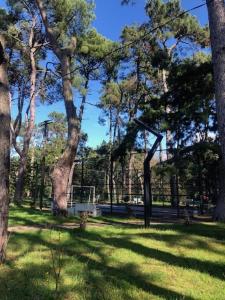 a group of trees in a park with green grass at Three Pines in Kobuleti