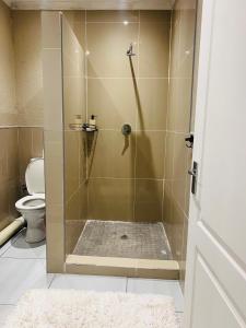 Emgwenyeni Guest house في منزيني: دش مع باب زجاجي في الحمام