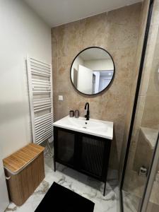 a bathroom with a sink and a mirror at Appartement spacieux centre Colmar in Colmar +12 photos