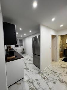 a kitchen with a refrigerator and a counter at Appartement spacieux centre Colmar in Colmar