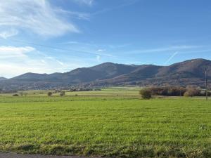 Gîte le Nid في Uffholtz: حقل من العشب الأخضر مع الجبال في الخلفية +9 صور