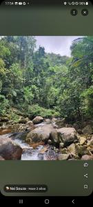 De la rosa y el canto de los pájaros في باراتي: شاشة تلفزيون تعرض نهراً في غابة