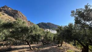 Příroda nedaleko hotelu