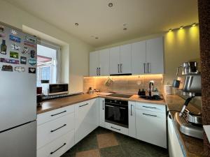 a kitchen with white cabinets and a sink and a refrigerator at Gusterita Hideaway in Sibiu