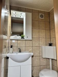 a bathroom with a sink and a toilet at Gusterita Hideaway in Sibiu +15 photos