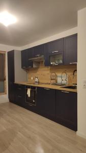 a kitchen with black cabinets and a counter top at T3 lumineux avec balcon, proche des transports in La Celle-sous-Gouzon
