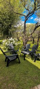 Κήπος έξω από το Complejo Kalinka