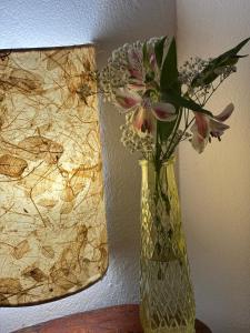 eine mit Blumen gefüllte Vase auf einem Tisch in der Unterkunft Recanto caracol in Alto Paraíso de Goiás