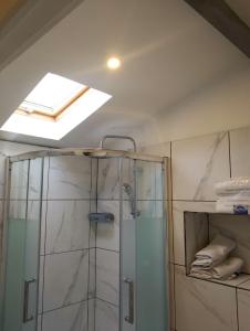 a bathroom with a shower and a skylight at Magnifique Studios proche de Paris dans le Yvelines in Ecquevilly