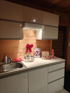 una cucina con un lavello e un piano di lavoro di Nowoczesny Domek Góralski a Kielce Altre 34 foto