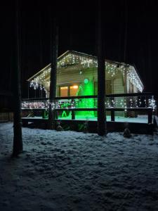 a house with christmas lights on it in the snow at Dziczek in Borsk