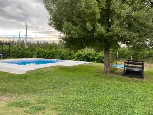 a swimming pool with a bench next to a tree at Cabañas los Cactus in San Rafael