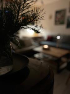 un vaso con una pianta su un tavolo in soggiorno di Art gallery near Pardubice a Mateřov