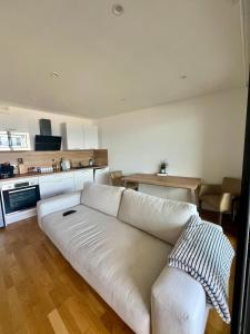 ein weißes Sofa in einem Wohnzimmer mit Küche in der Unterkunft T2 avec vue panoramique in Ajaccio