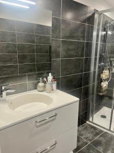 ein Badezimmer mit Waschbecken und Dusche in der Unterkunft T2 avec vue panoramique in Ajaccio