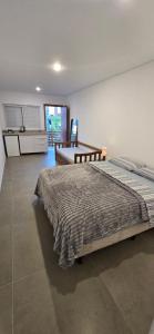 a bedroom with a bed and a desk in it at Eco Isla GuestHouse in Florianópolis