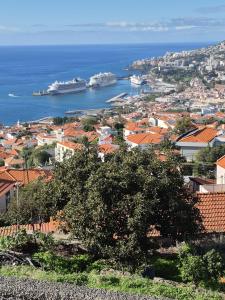 a view of a city with ships in the water at Latin House in Funchal