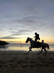 Dos personas montando caballos en la playa al atardecer en Black Pearl surf yoga and skate house, en Tamraght Ouzdar
