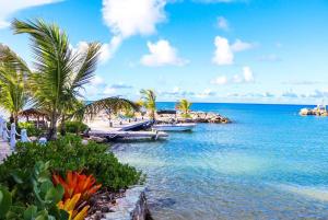 Φυσικό τοπίο κοντά σε αυτό το ξενοδοχείο