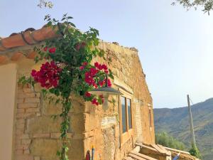 Nespecifikovaný výhled na hory nebo výhled na hory při pohledu z prázdninového domu