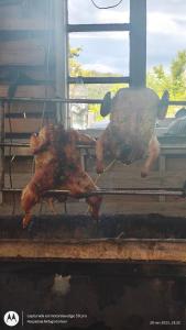 Fotografie z fotogalerie ubytování Hospedaje Familiar Refugio Coihuin v destinaci Chonchi + 21 fotografií