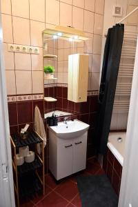 ニーレジハーザにあるPalatini Apartmanの洗面台と鏡のある小さなバスルーム +17枚の写真