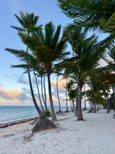 Un paisaje natural cerca del departamento