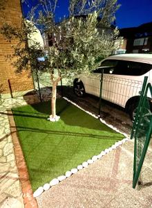 マリーナ・ディ・ピサにあるDomus Libeccio 57の車の隣の芝生に生えている木 +4枚の写真