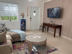 TV a/nebo společenská místnost v ubytování Villa Fina Aruba