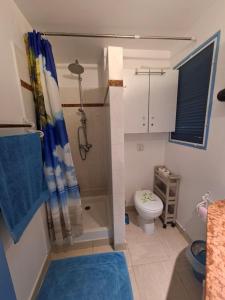 une salle de bains avec douche et toilettes dans l'établissement Ty Alice, à Sainte-Anne 10 autres photos