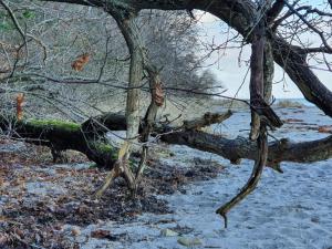 Příroda nedaleko prázdninového domu