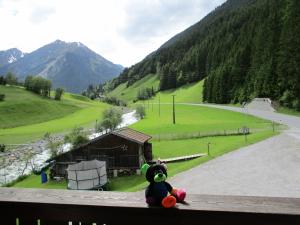 Paesaggio naturale nelle vicinanze dell'affittacamere