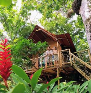 Κήπος έξω από το Excelsum Tayrona Garden Hotel