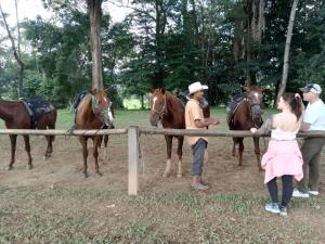 Động vật gần/tại nhà nghỉ B&B