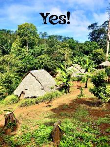 ein Dorf mit einem strohgedeckten Haus auf einem Feld in der Unterkunft Twelve107 Farmstay in Krong Saen Monourom