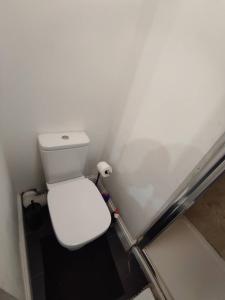 een badkamer met een wit toilet in een kamer bij Relax Graza of Marsel in Cambridge +5 foto's