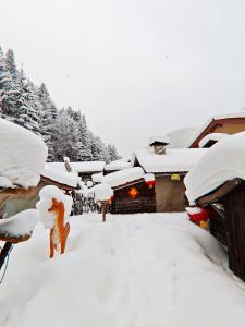 Hanfox HOTEL寒香阁 , CHINA Snow Town Store iarna