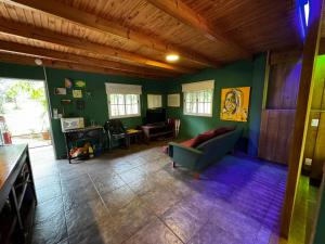 Una sala de estar con paredes verdes y un sofá. en Departamento con vista al lago, en Puerto Libertad