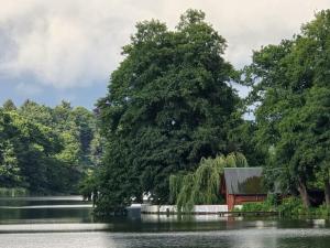 Příroda nedaleko ubytování na lodi + 10 fotografií