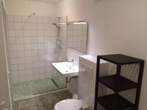 Gable house Ruppin Lake في Karwe: حمام مع مرحاض ومغسلة ودش +21 صورة