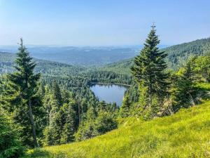 Φυσικό τοπίο κοντά σε αυτή η παραθεριστική κατοικία