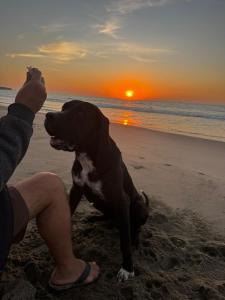 Вид на восход или закат из дома для отпуска или места поблизости