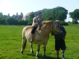 at the Gau family's home in Poggenhof في Charlottendorf: امرأة وطفل يركبان على ظهر بقرة